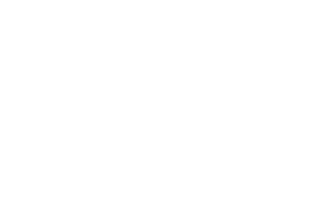 Diocèse de Saint-Étienne