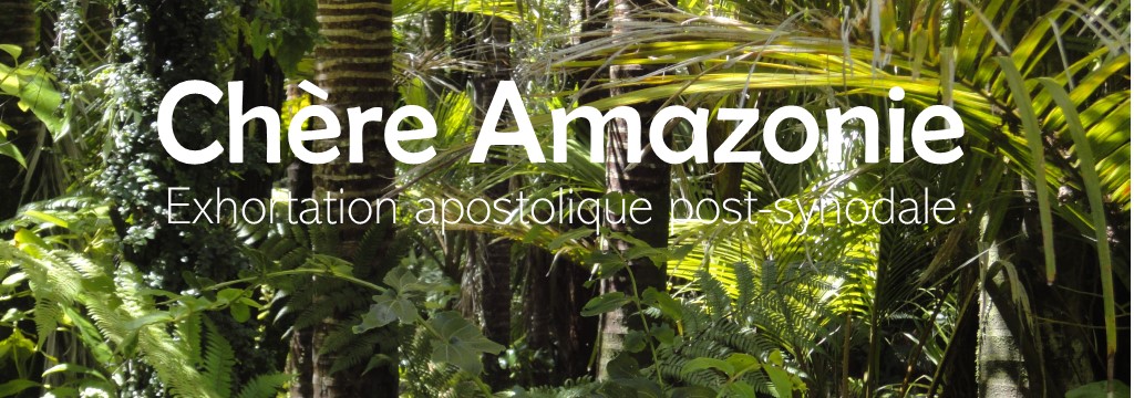 Amazonie2
