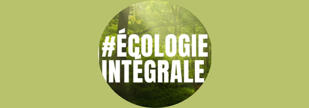 Webinaires "écologie intégrale" organisés par Pax Christi