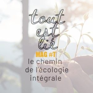 G - tout est lié mag7