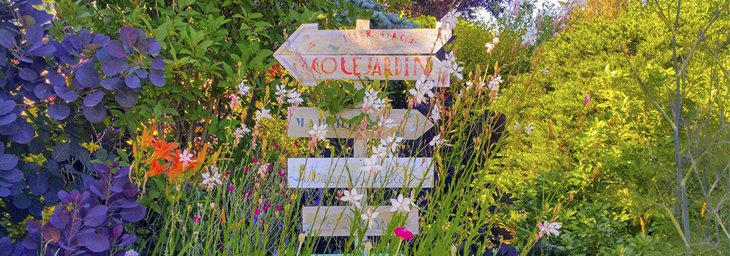 Saint-Paul-en-Forez-Donzy : un jardin partagé pour une Église Verte