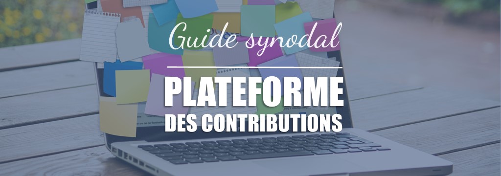 MEA - guide synodal - plateforme des contributions