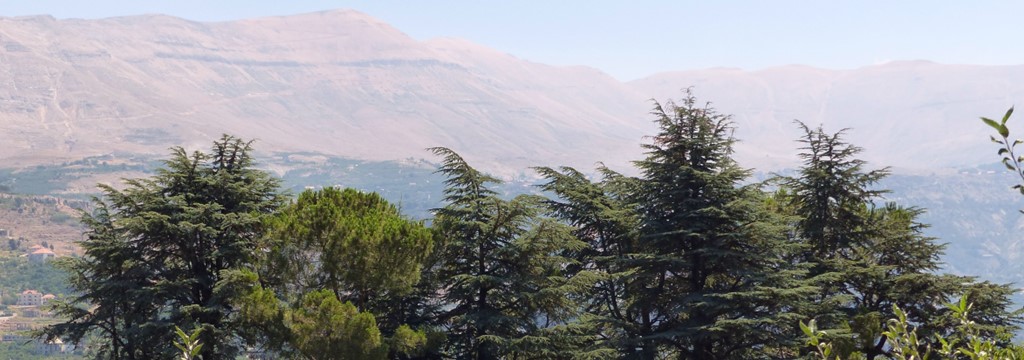 MEA Paysage Liban