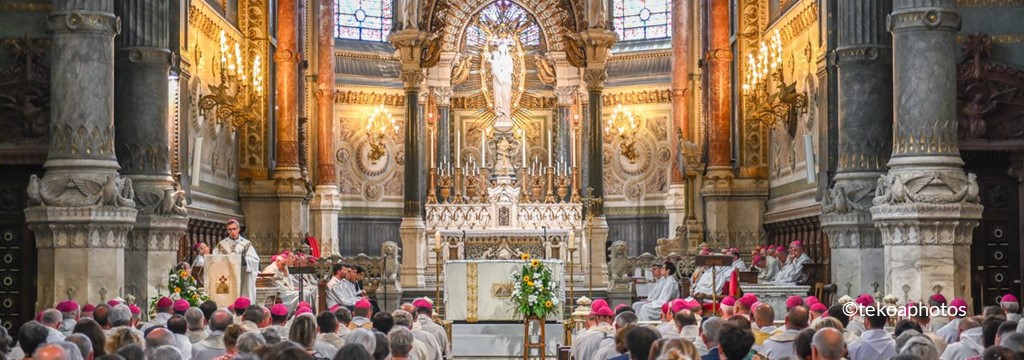 La phase nationale du synode s'achève en France