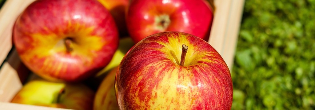 Sainte-Marie-entre-Rhône-et-Pilat : fête de la pomme à Pélussin