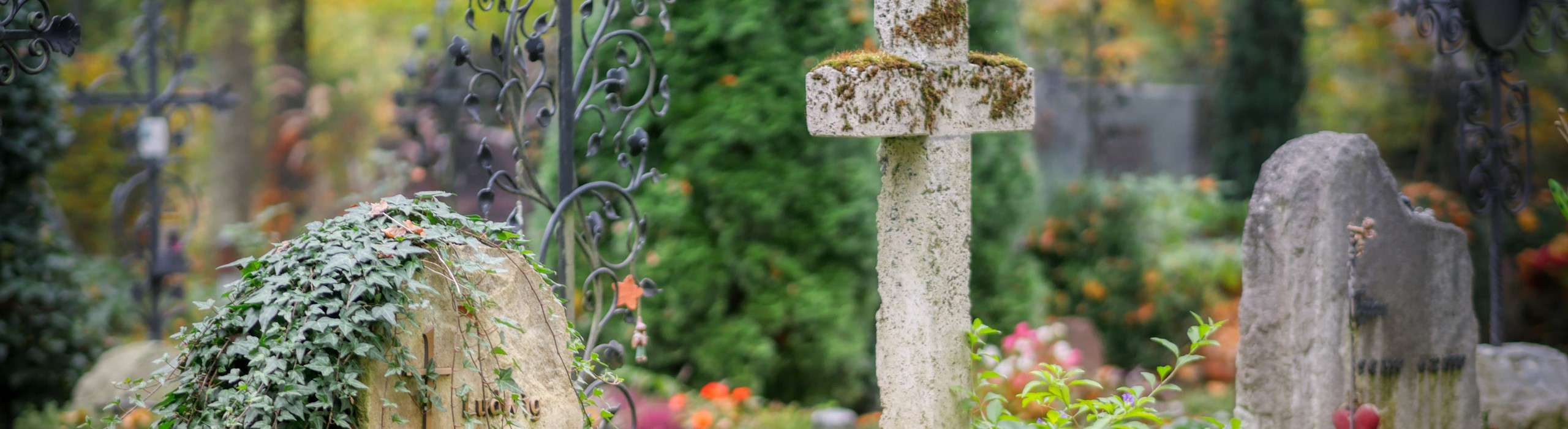 SLIDER - 2 novembre - cimetière fleuri