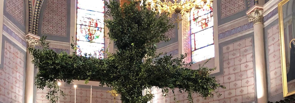 Célébration de la fête des Rameaux et de la Passion dans les paroisses