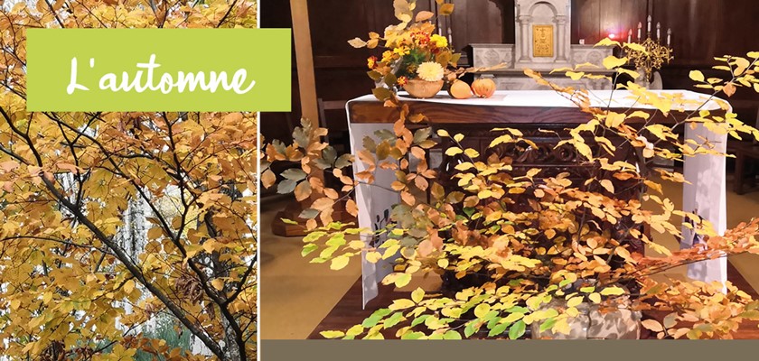 Découvrir la joie de fleurir en liturgie