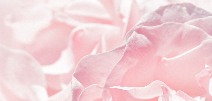 Veillée de prière "Pétales de roses" au patronage Saint Joseph