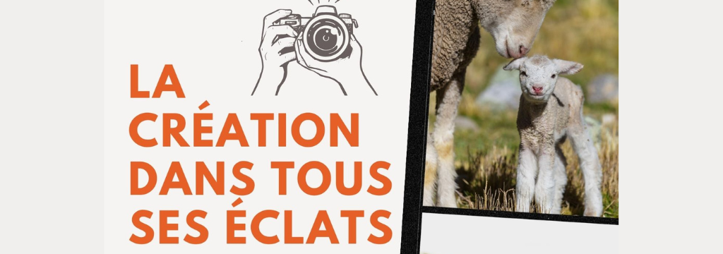 Concours photos : La création dans tous ses éclats