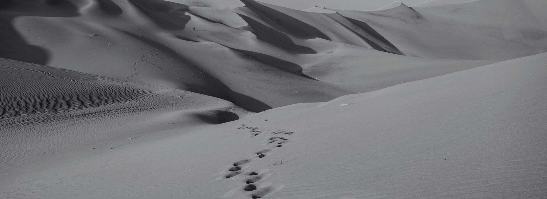 SLIDER - Désert Carême 2025les(1)