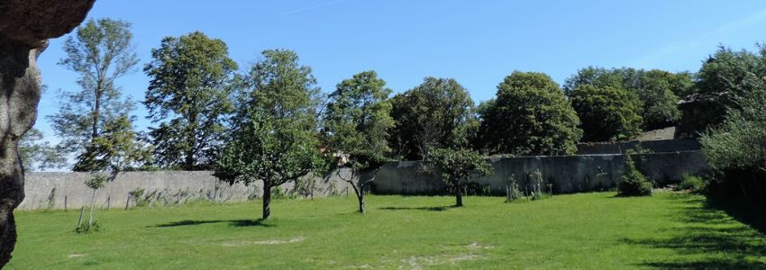 Des croyances à la foi : croire dans un monde chamboulé