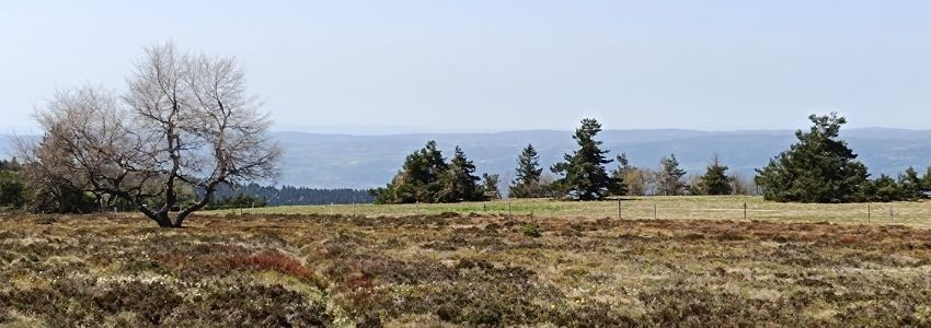 Balade découverte sur les Hautes Chaumes