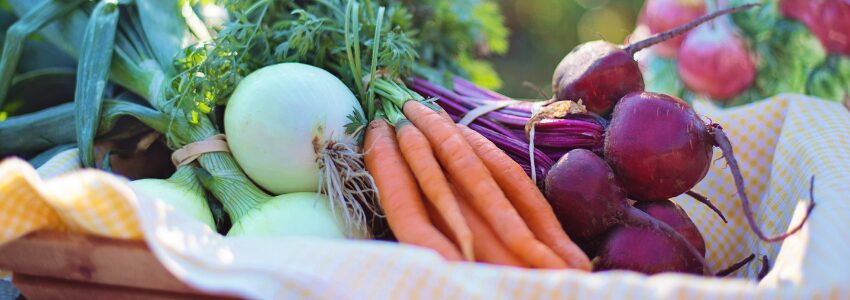 Sainte-Marie-Madeleine-en-Gier : les talents sont dans la cuisine !