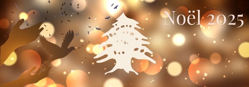 Noël 2025 - Faisons refleurir l'Espérance au Liban !