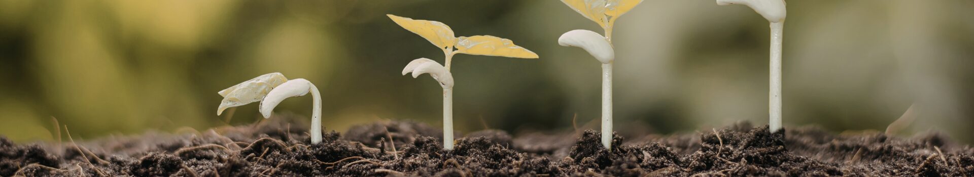 ET - Initiation et vie chrétienne