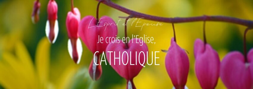 RENCONTRE 3 - Frères universels