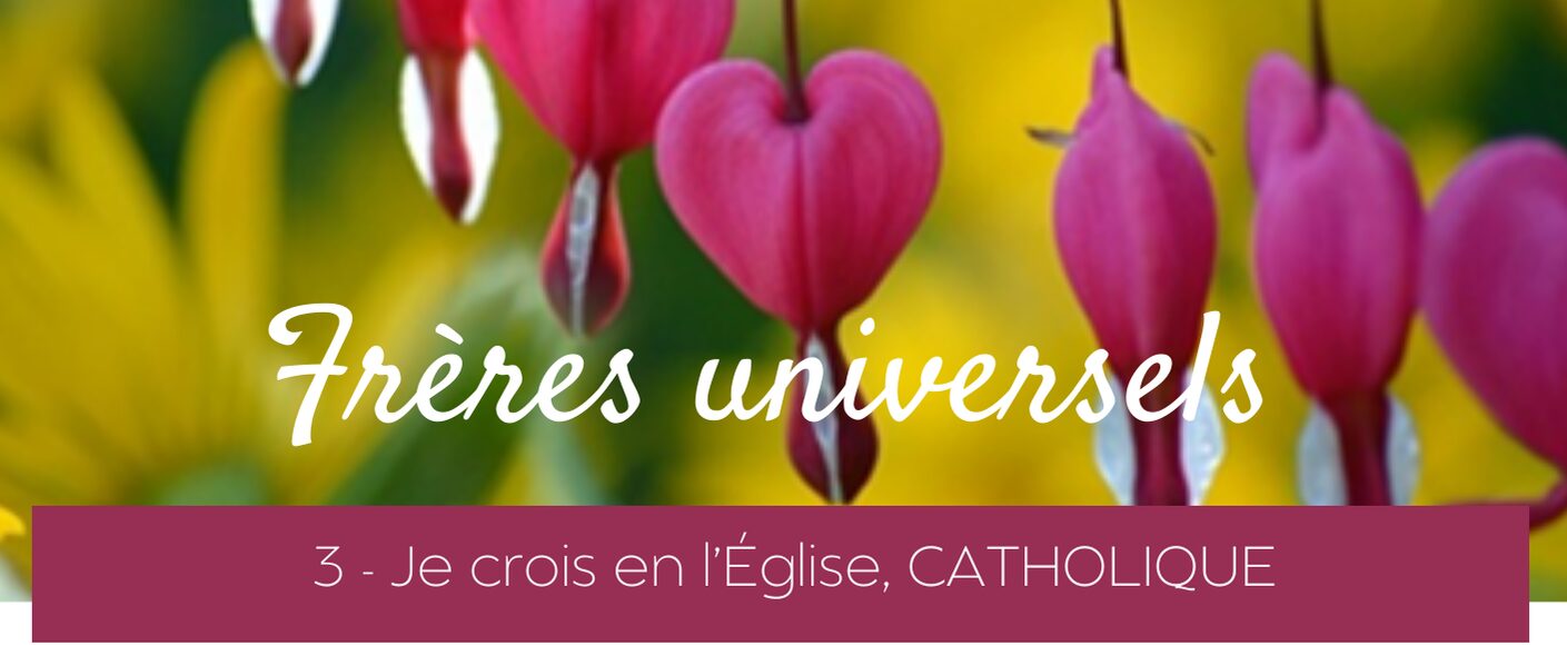 MEA - Freres universels - V1