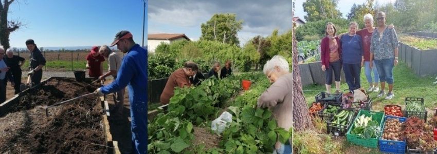 Saint-Paul-en-Forez-Donzy : un potager solidaire