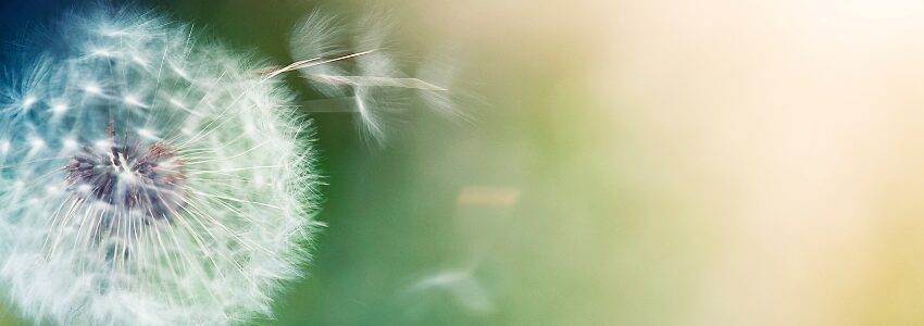 Sainte-Cécile : Catéchuménat- L’Esprit souffle où il veut … (Jn 3,8)