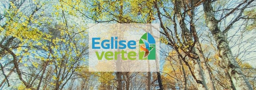 « Regards éco-théologiques sur la Création »