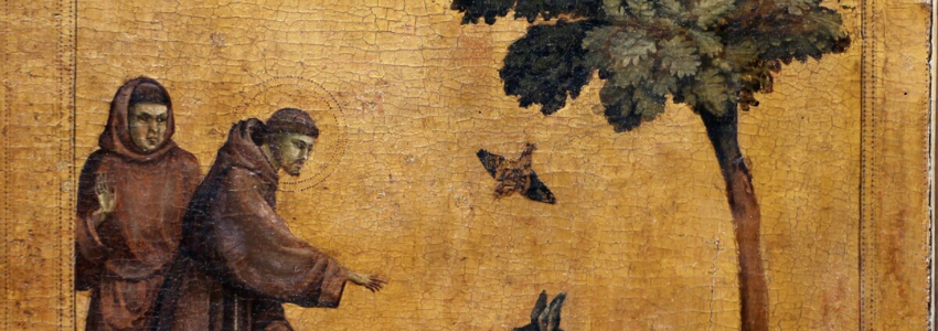 Fête de saint François d’Assise