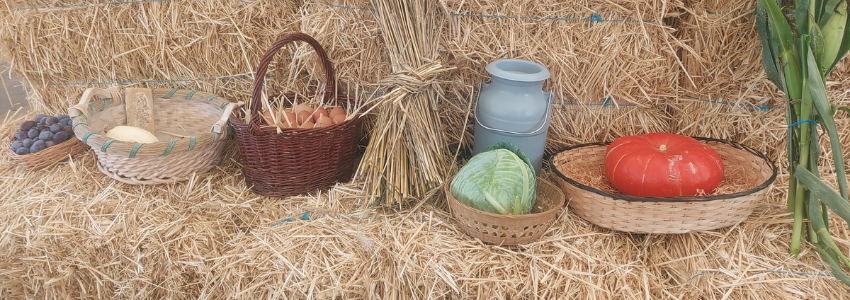 Saint-Jacques-du-Haut-Forez : le monde agricole en fête !