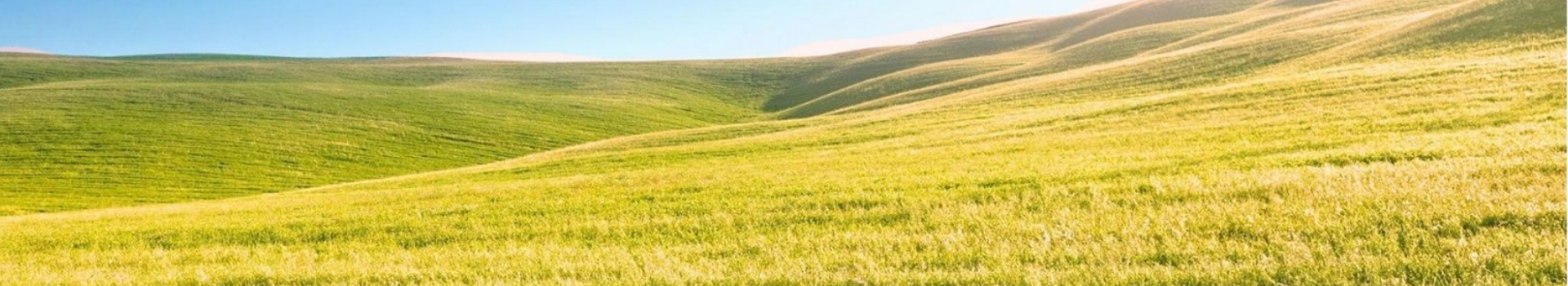 ET - PRAIRIEE